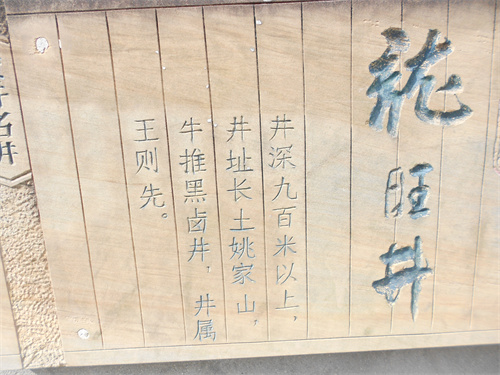DSCN2247.jpg