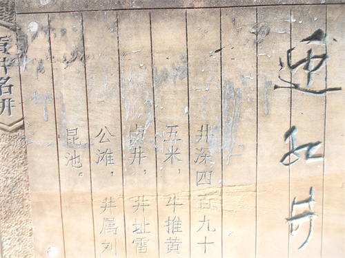 DSCN2253.jpg