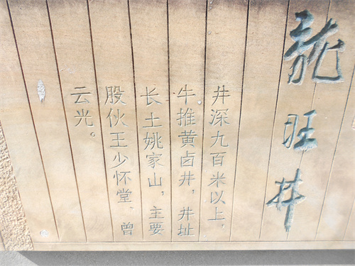 DSCN2256.jpg