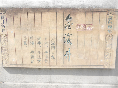 DSCN2263.jpg