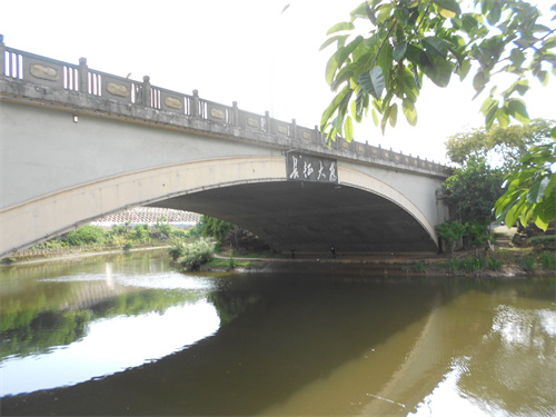 DSCN2306.jpg
