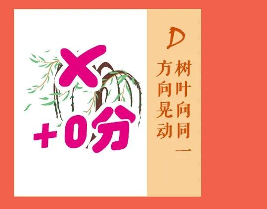应急科普 | 灾害避险自救攻略，快来看看吧！-16.jpg