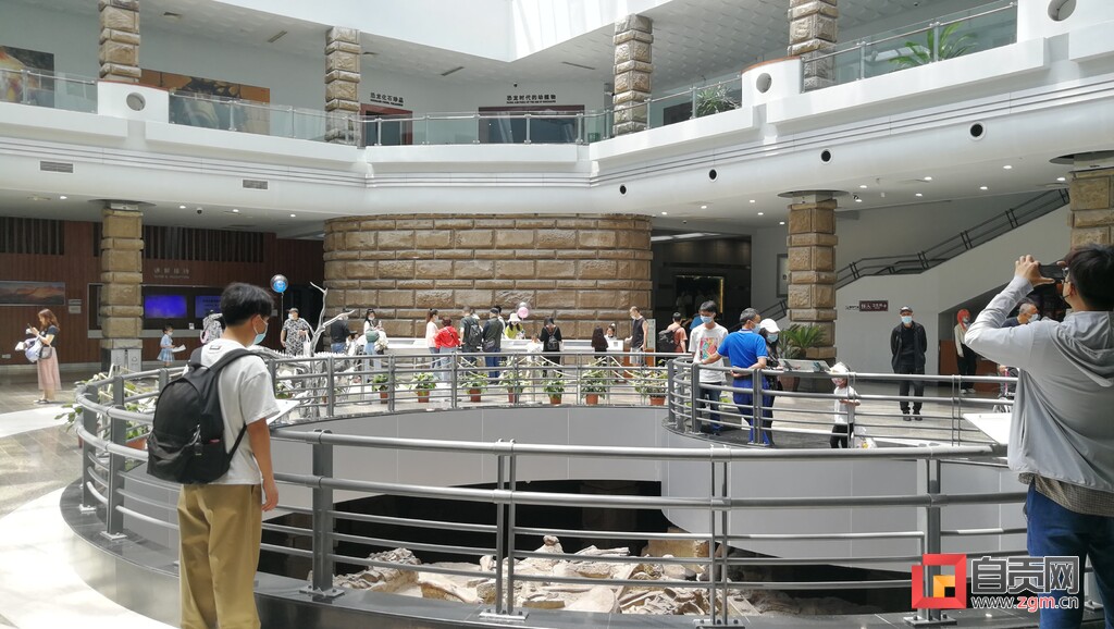 自贡市博物馆协会正式成立-2.jpg