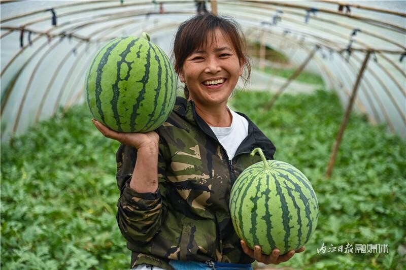 内自同城 | 吃瓜！内江这里的“麒麟瓜”熟了，安排！-8.jpg