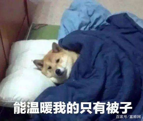气温“过山车”即将发车！富顺人，你准备好了吗？-1.jpg