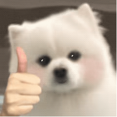 气温“过山车”即将发车！富顺人，你准备好了吗？-5.gif