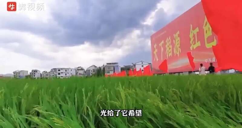 袁隆平逝世一周年！去医院路上这一段，首次公开......-9.jpg