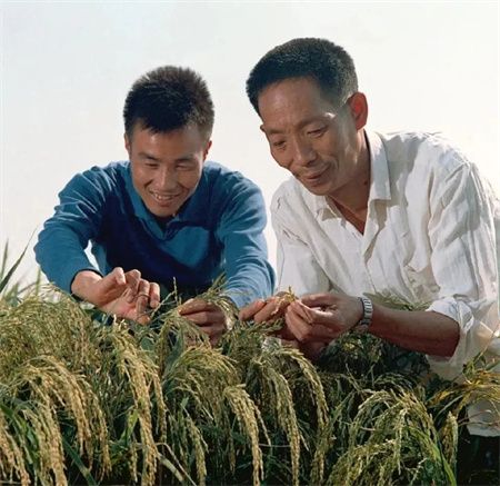 袁隆平逝世一周年！去医院路上这一段，首次公开......-14.jpeg