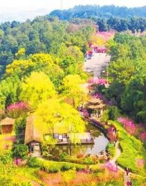 自流井 美一片景 兴一带业 富一方人-4.jpg