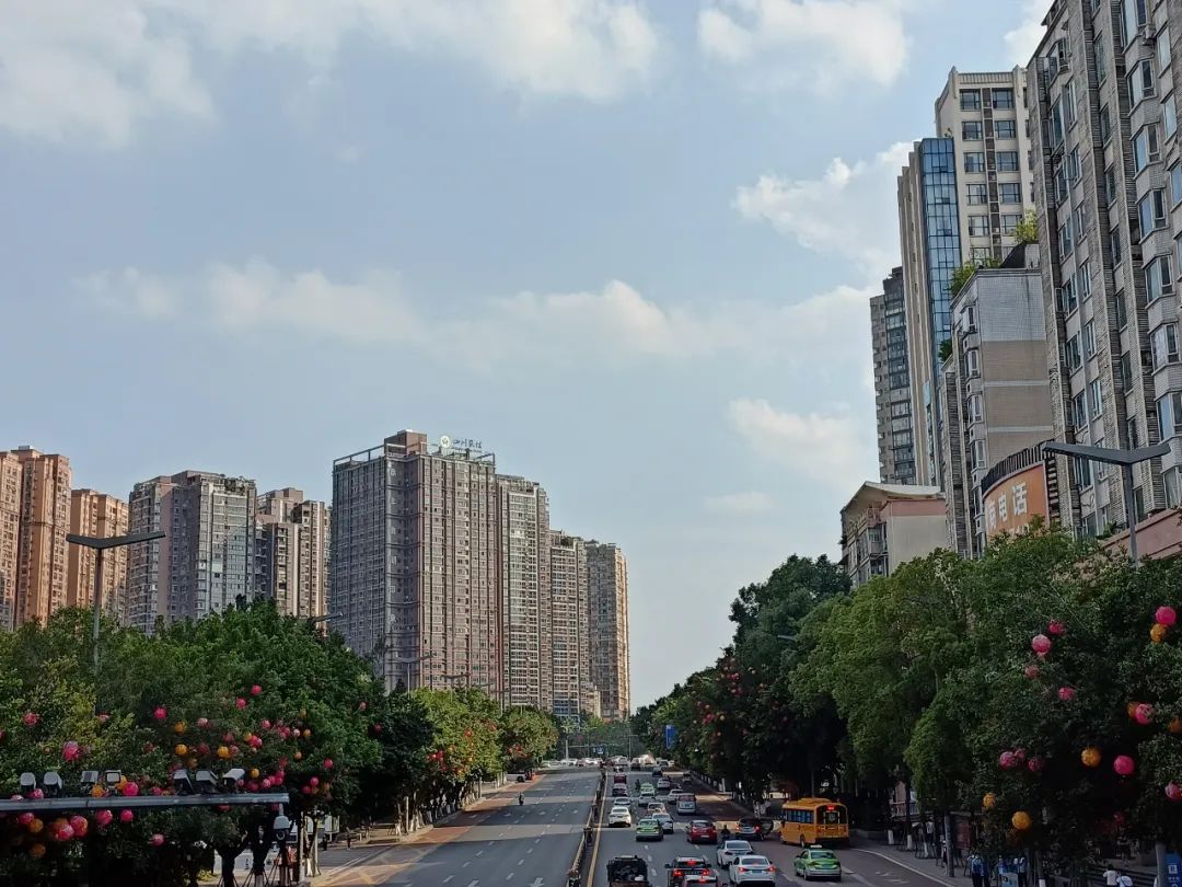 通车在即！连接富顺！省道213线的最新进展来了→-1.jpg