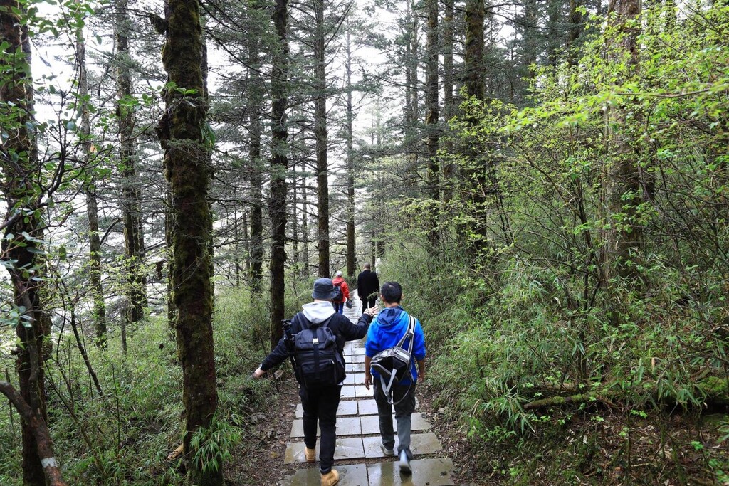这个端午小长假，峨眉山景区对川渝游客执行门票半价、学生免票优惠-1.jpeg