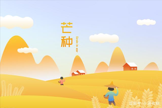 今日芒种，老人说“芒种做5事，不富也添财”，指的是哪5件事？-1.jpg