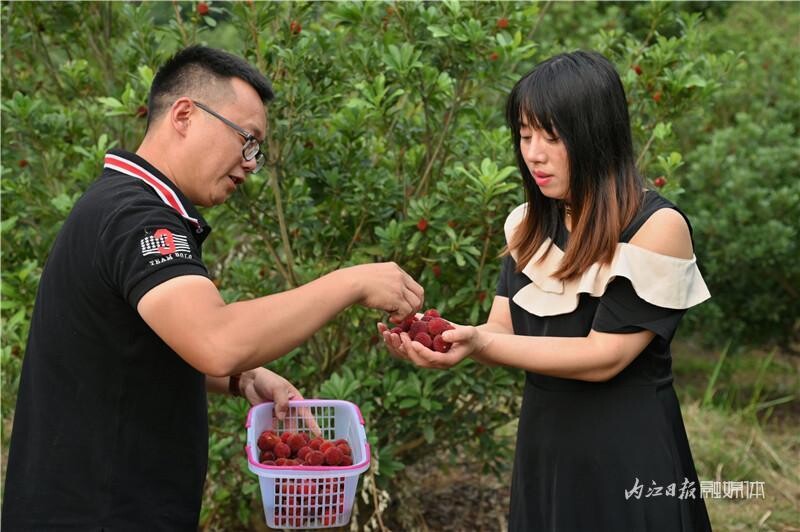 内自同城 | 入园随便吃！威远护林村的杨梅熟了，想吃的抓紧哦！-7.jpeg