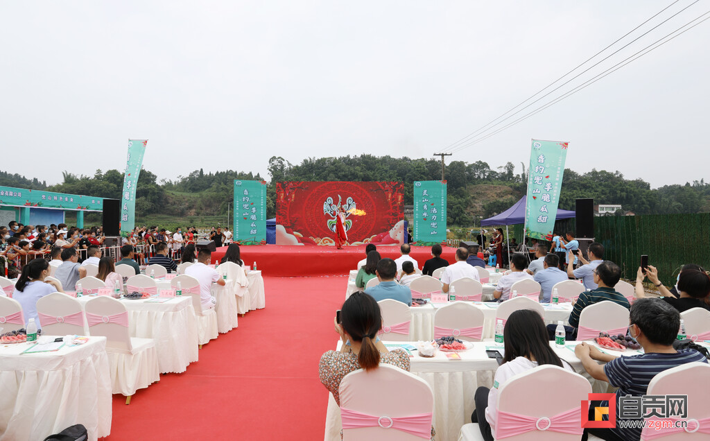 李脆瓜甜 首届富顺·兜山·百里冲瓜果采摘节开幕-1.jpg