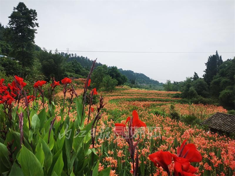 内自同城 | 好水养出好生态！古宇湖景区，来了还想再来！-2.jpeg