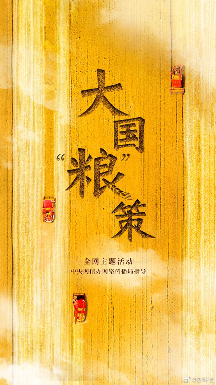 大国粮策丨麦香四溢！好一幅麦收全景图-1.jpeg