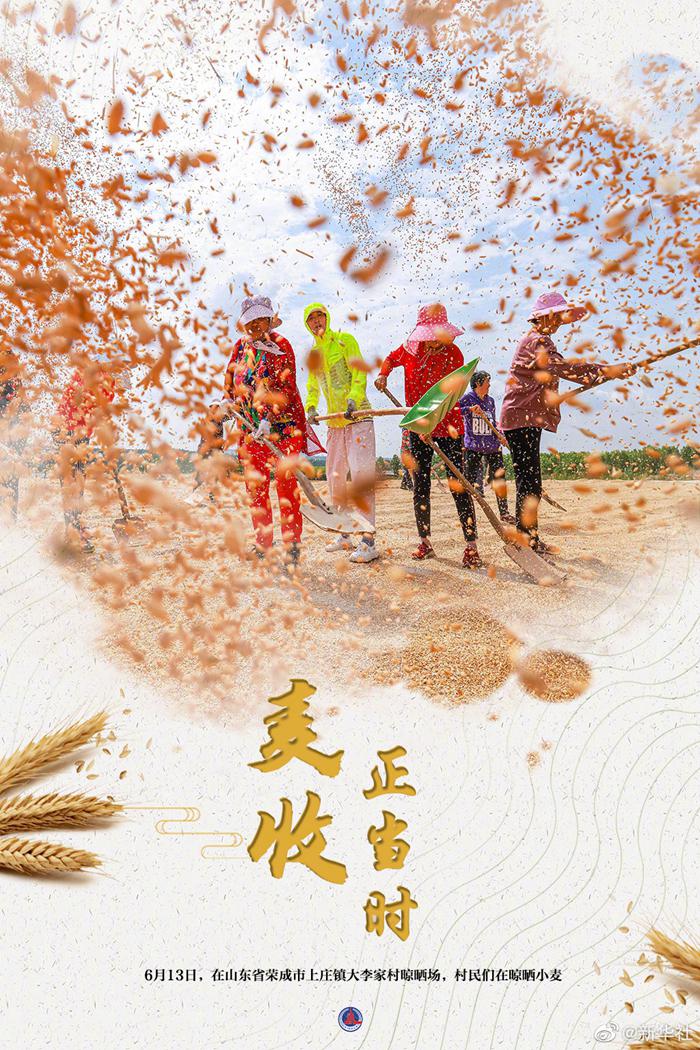 大国粮策丨麦香四溢！好一幅麦收全景图-2.jpeg