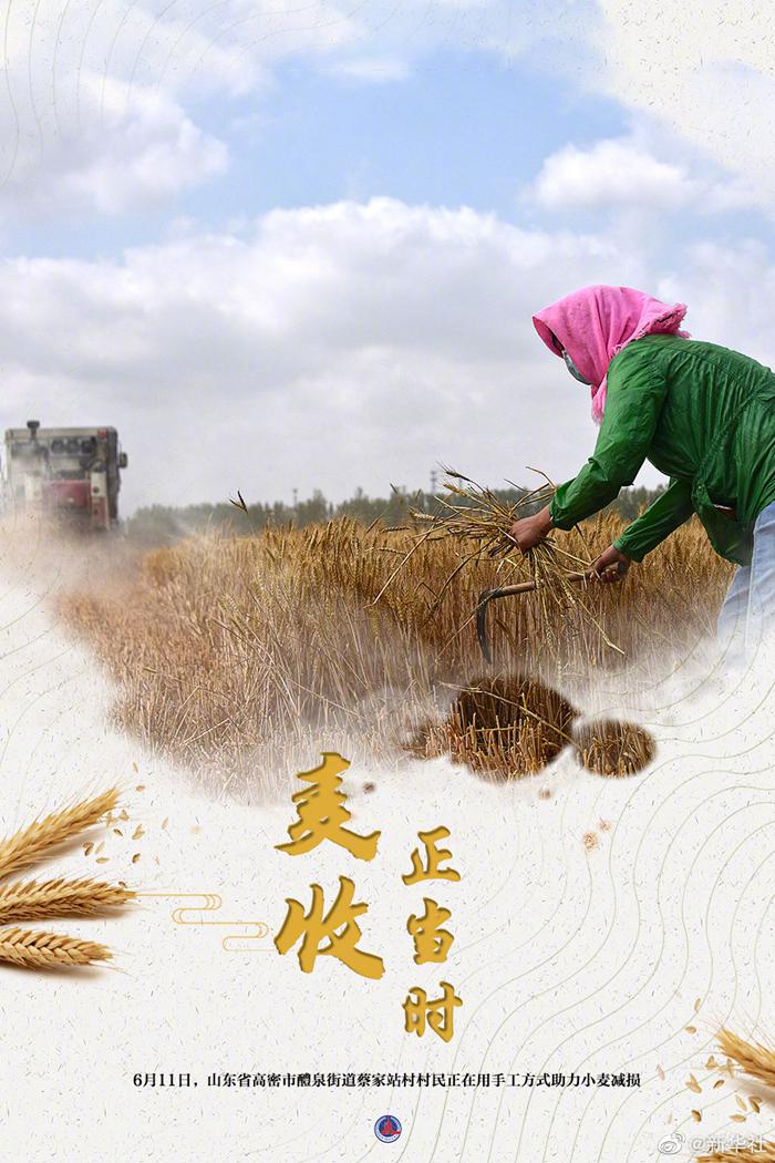 大国粮策丨麦香四溢！好一幅麦收全景图-3.jpeg