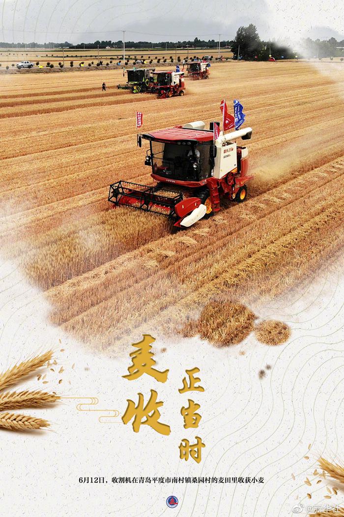 大国粮策丨麦香四溢！好一幅麦收全景图-5.jpeg