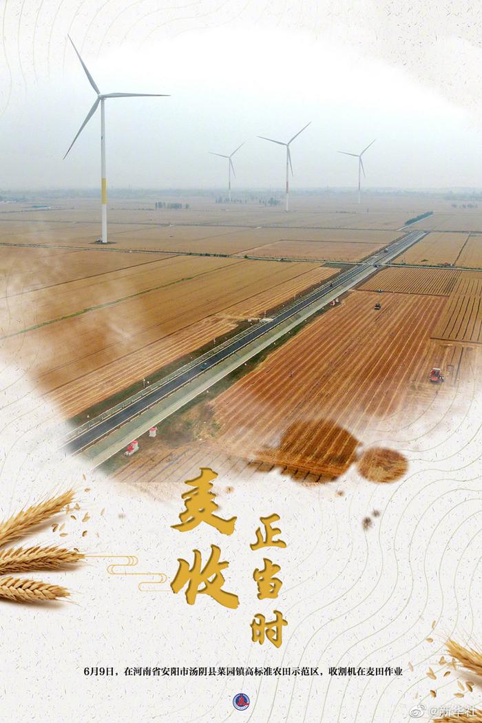 大国粮策丨麦香四溢！好一幅麦收全景图-6.jpeg