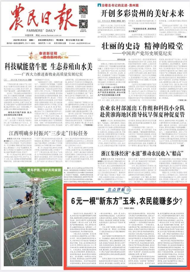 6元一根“新东方”玉米，农民能赚多少？-1.jpg