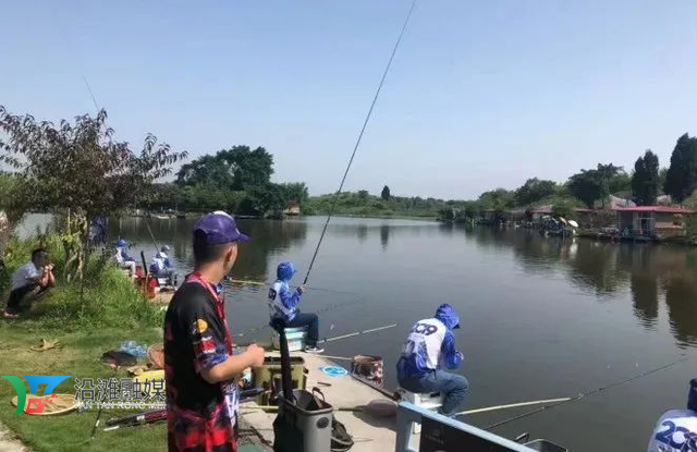 【玩转沿滩】天幕烧烤、星空露营、拎包入住......夏日观音湖这里很安逸！-23.png
