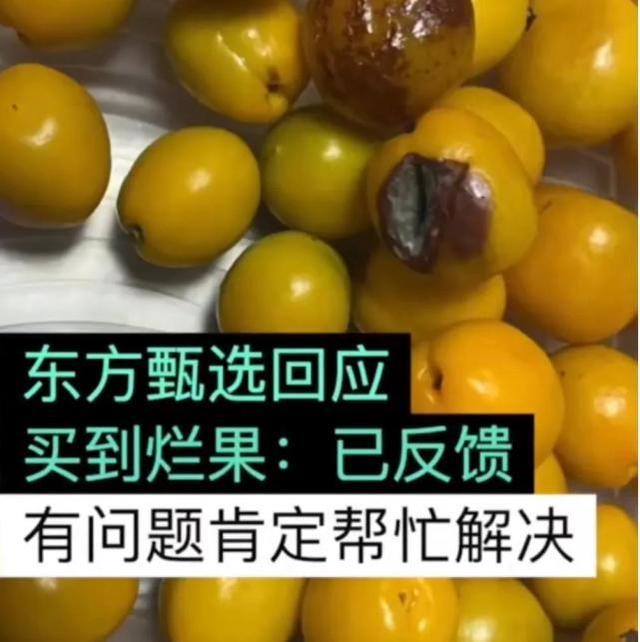 新东方回应被投诉桃子霉烂长毛：已退款-4.jpg