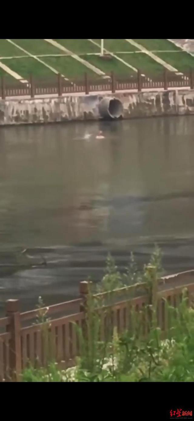 16岁男孩下河救狗溺水失联亲属：他是家中独子，正直帅气-2.jpg