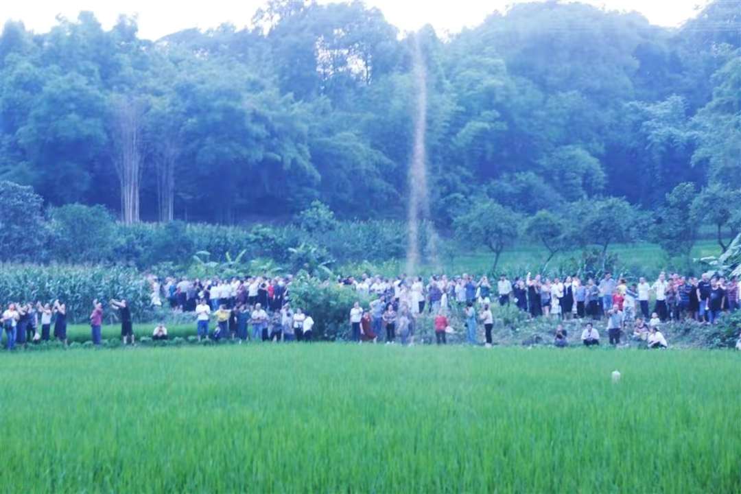 四川一村庄内现“白色烟雾”？专家：疑为摇蚊聚集，对人无害-3.jpg