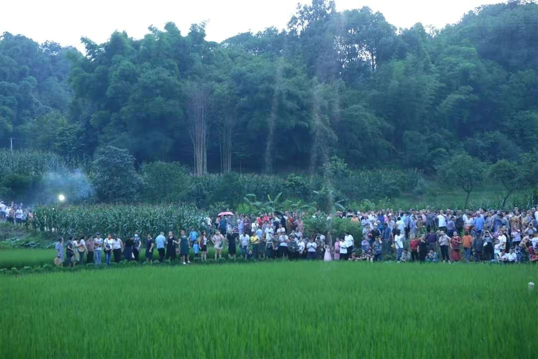 四川一村庄内现“白色烟雾”？专家：疑为摇蚊聚集，对人无害-2.jpg