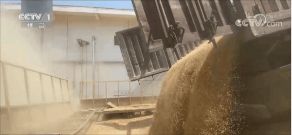 粮库里的“黑科技” 一起探究竟-1.gif