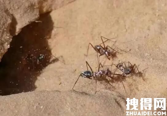 热炸了?河南居民家中玻璃一碰即碎 背后真相实在让人惊愕-2.jpg