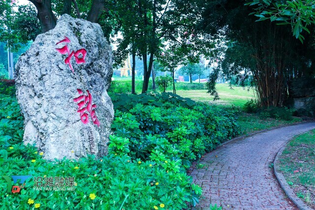 沿滩区：清晨的犀牛口公园-4.jpg