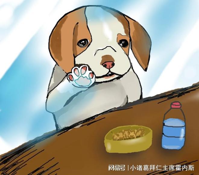 A爆了！流浪狗仰头喝雨水，过路男子见其可怜带回家养-1.jpg