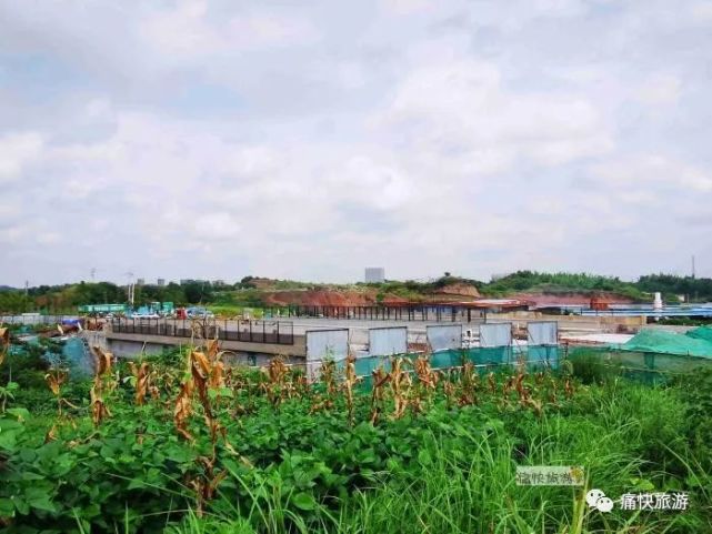 行走自贡：东部新城内宜高速永田跨线桥-6.jpg