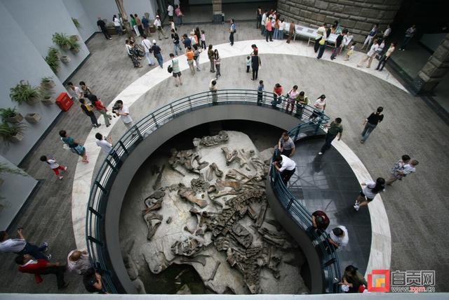 共建巴蜀文旅走廊 自贡文旅亮相重庆-5.jpg