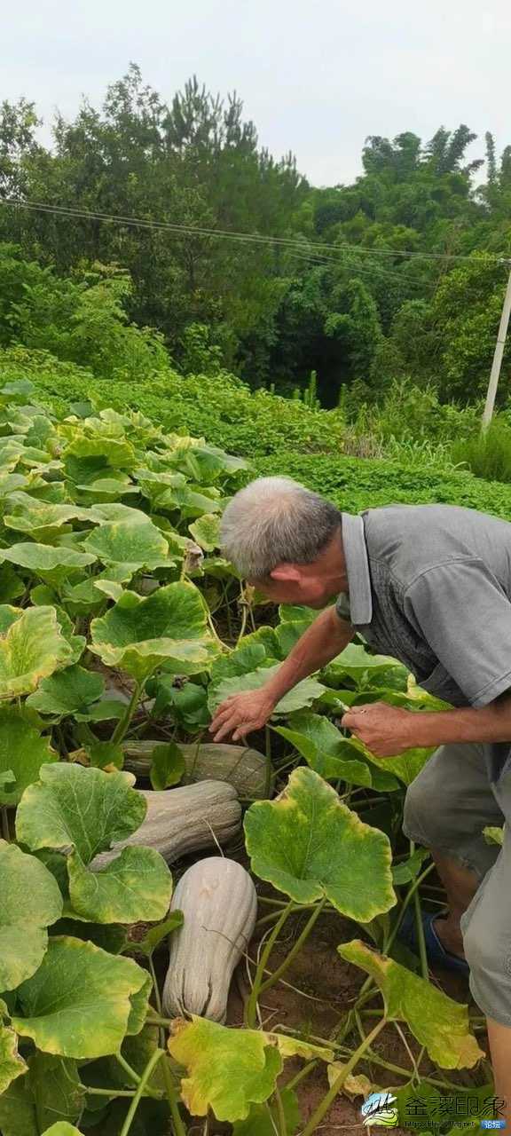 助力乡村振兴“牵手”农户，惠农惠民-6.jpg