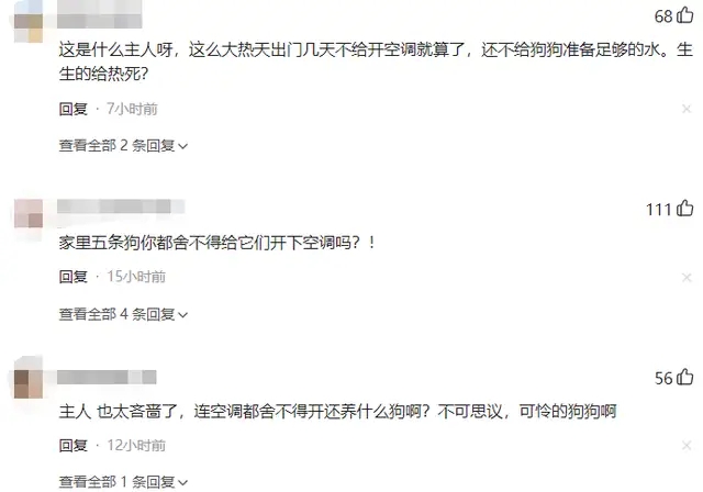 四川热过吐鲁番？超40℃高温4只狗中暑死亡！为何反常成全国最热-7.jpg
