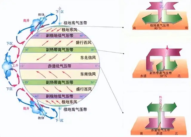 四川热过吐鲁番？超40℃高温4只狗中暑死亡！为何反常成全国最热-12.jpg