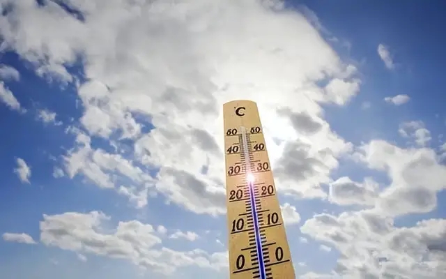 四川热过吐鲁番？超40℃高温4只狗中暑死亡！为何反常成全国最热-14.jpg