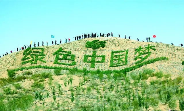 四川热过吐鲁番？超40℃高温4只狗中暑死亡！为何反常成全国最热-16.jpg