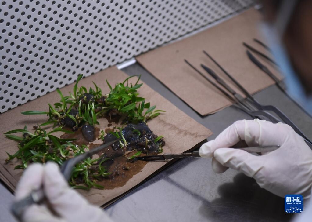 华南国家植物园正式揭牌-6.jpg