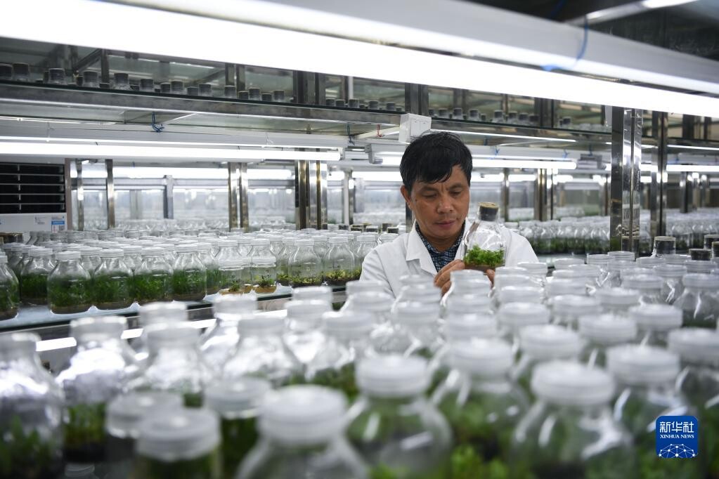 华南国家植物园正式揭牌-7.jpg