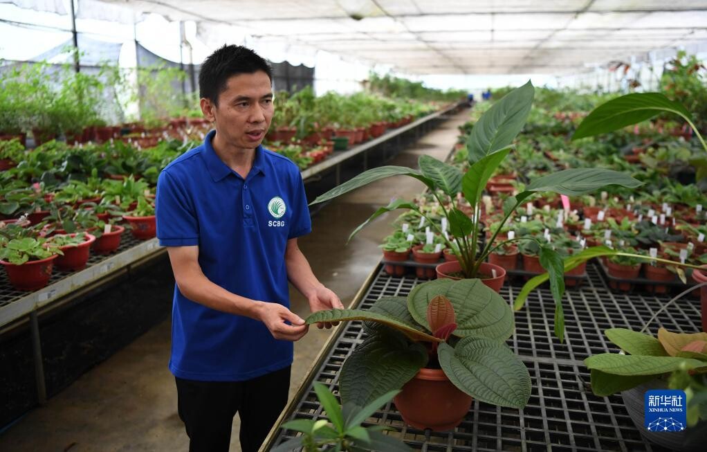 华南国家植物园正式揭牌-5.jpg