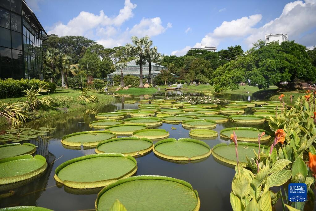 华南国家植物园正式揭牌-4.jpg