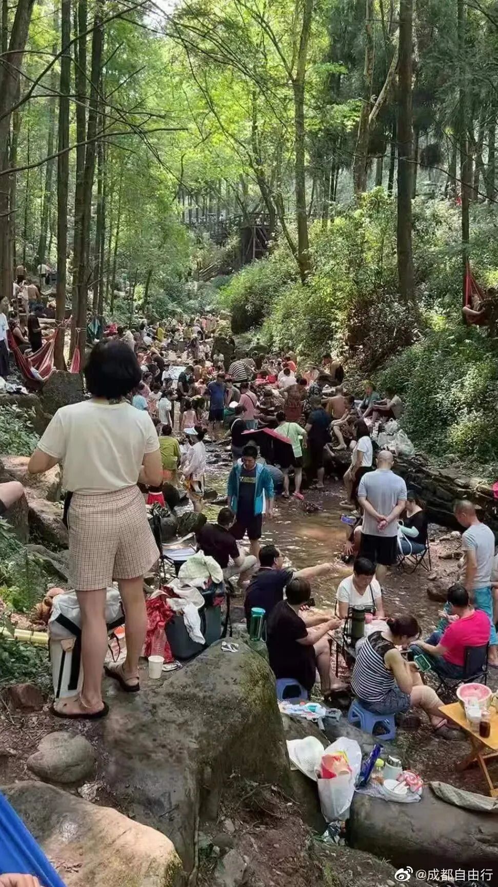 青城山都江堰景区重要提醒！-1.jpg