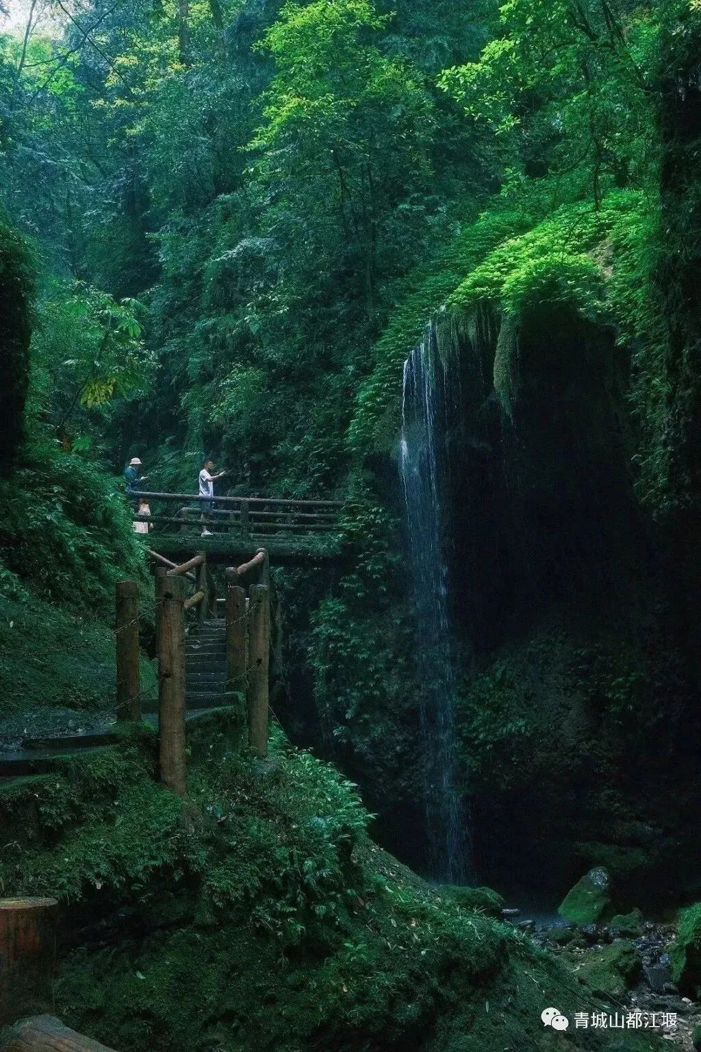 青城山都江堰景区重要提醒！-2.jpg
