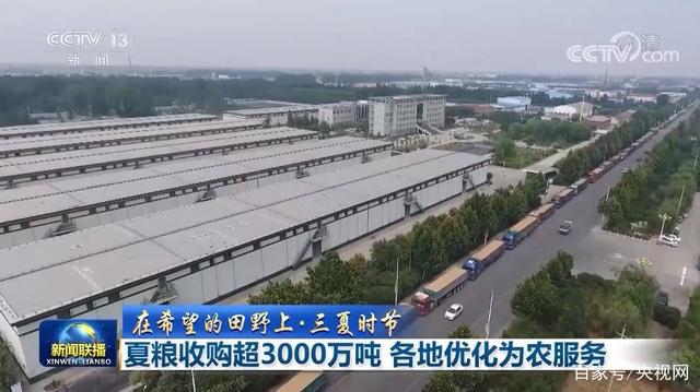 「在希望的田野上·三夏时节」夏粮收购超3000万吨 各地优化为农服务-1.jpg