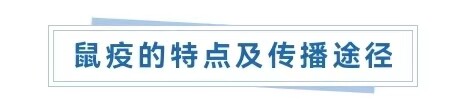 警惕！此地出现一例鼠疫确诊病例-1.jpg