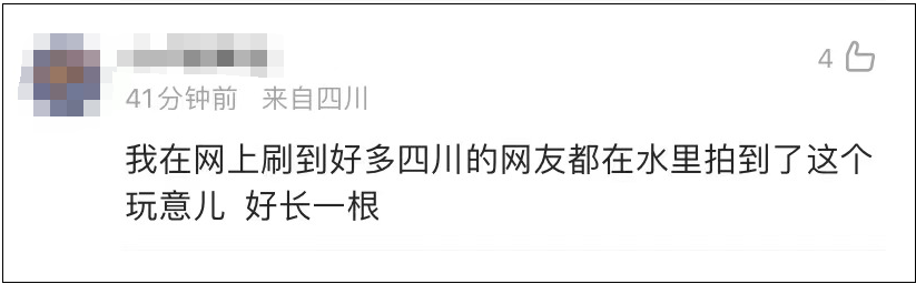 四川多地水域出现“龙线虫”？官方回应！-3.png